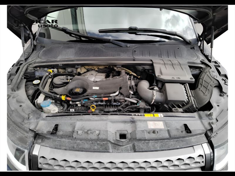 GuidiCar - LAND ROVER Range Rover Evoque 2019 Evoque 2.0 td4 SE Business edition 150cv 5p auto my19 Usato